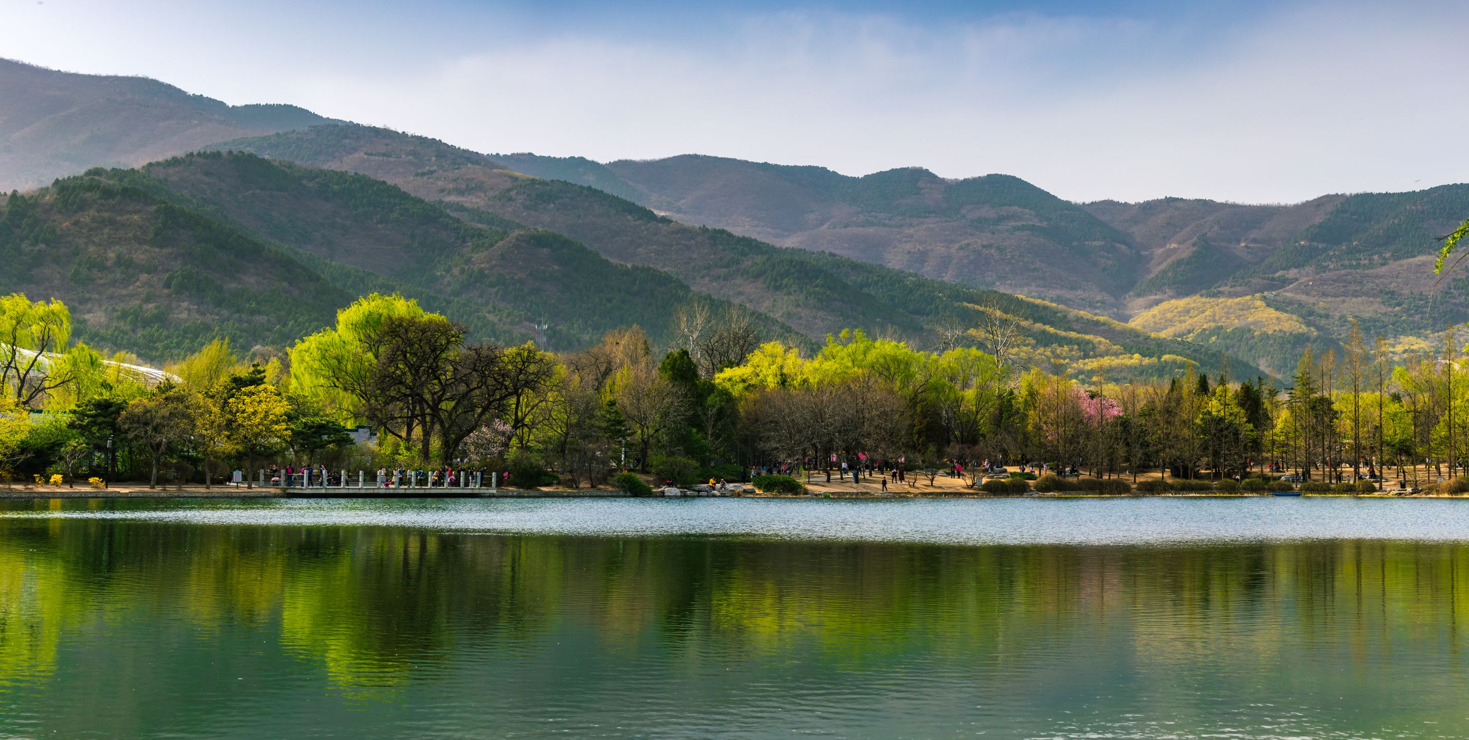 清明北京植物园练习