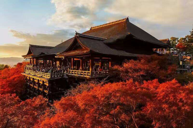 只狼的仙峰寺应该就是到中国取的景吧