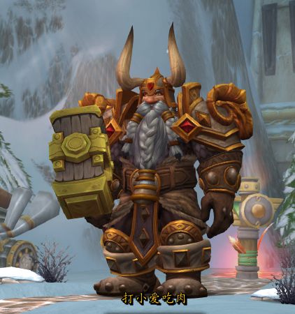 矮人萨满传承护甲幻化有点意思