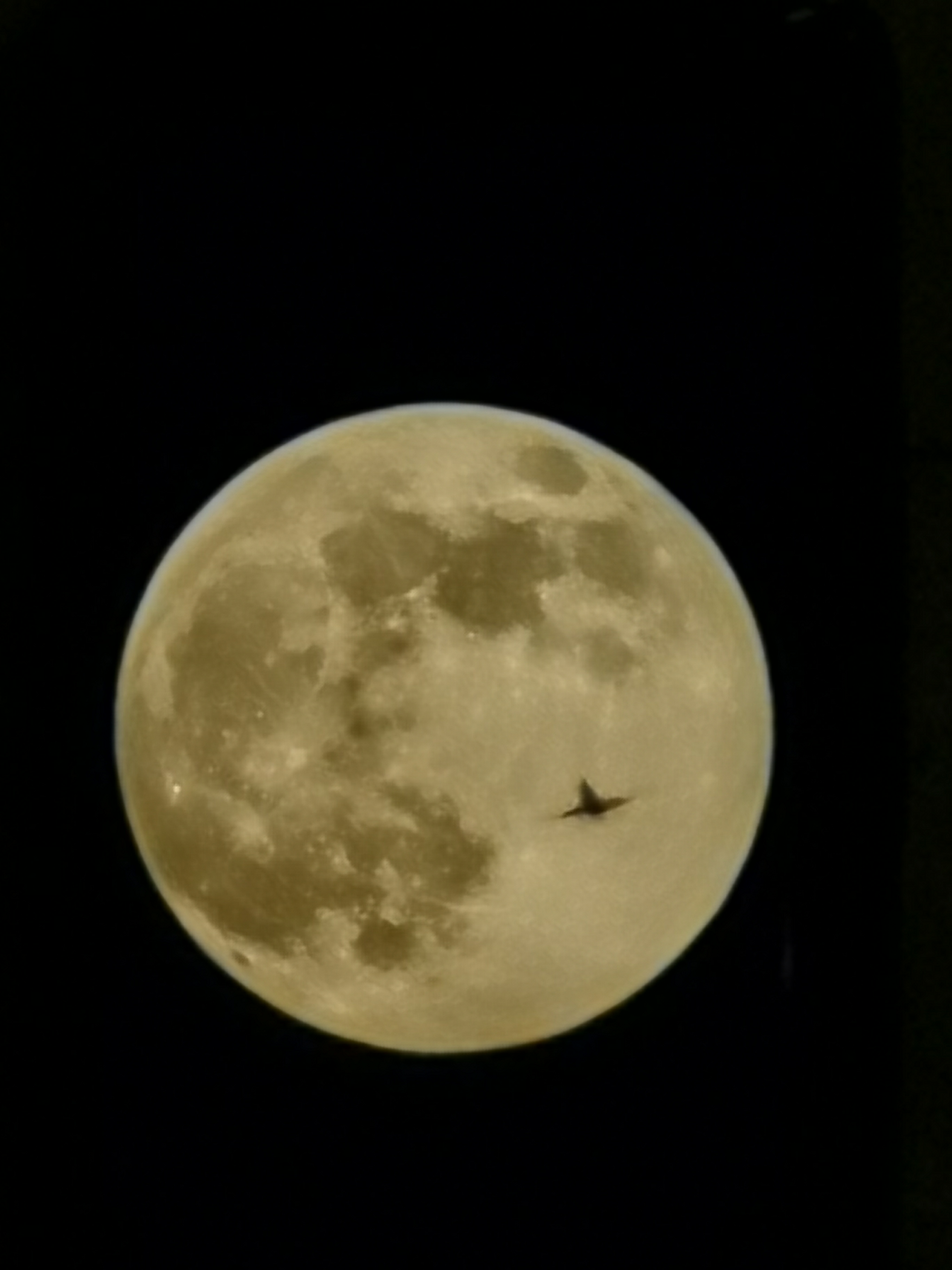 凑个热闹华为p月亮啦