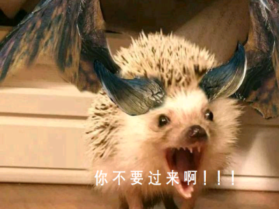 求几个咩咩子表情包