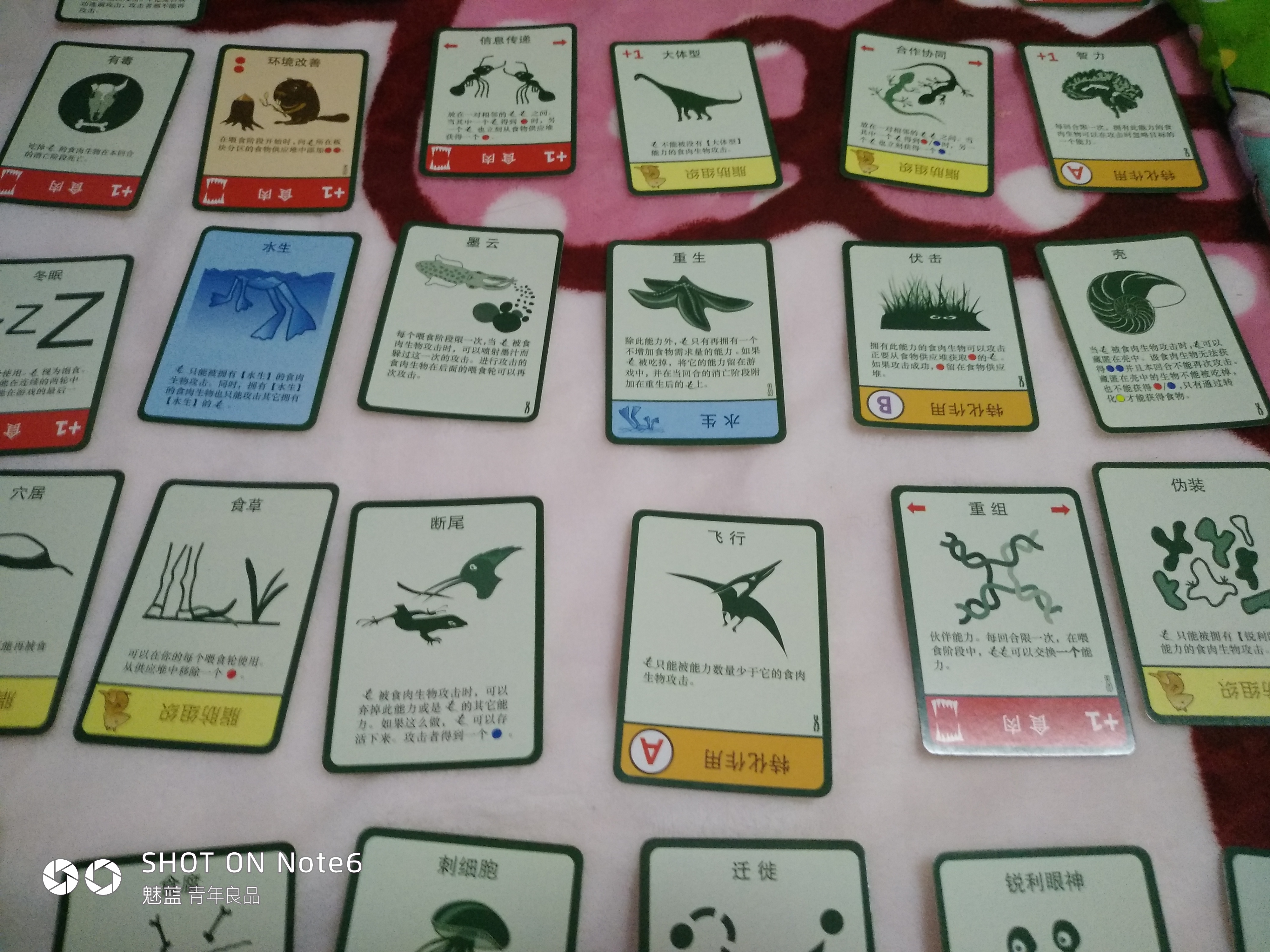 我来安利安利一款桌游进化物种起源