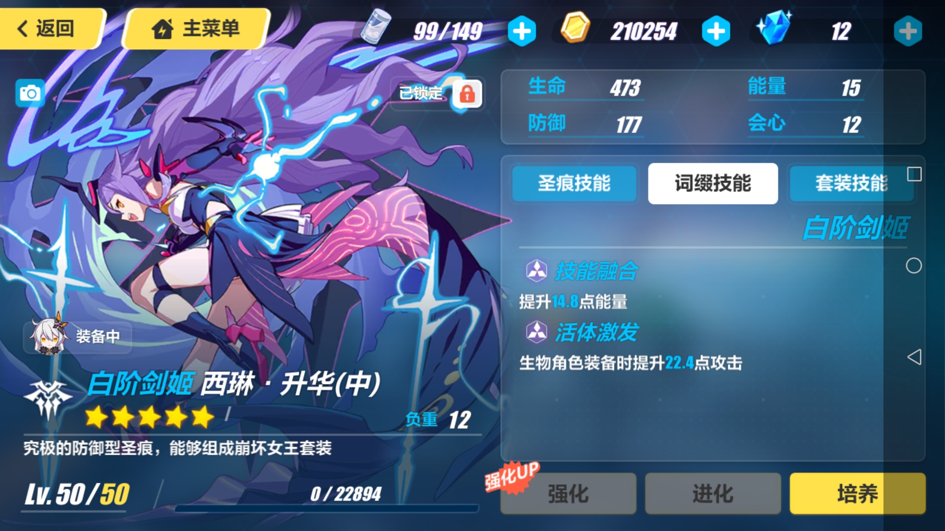 不懂就问请问升华应该洗什么词缀好