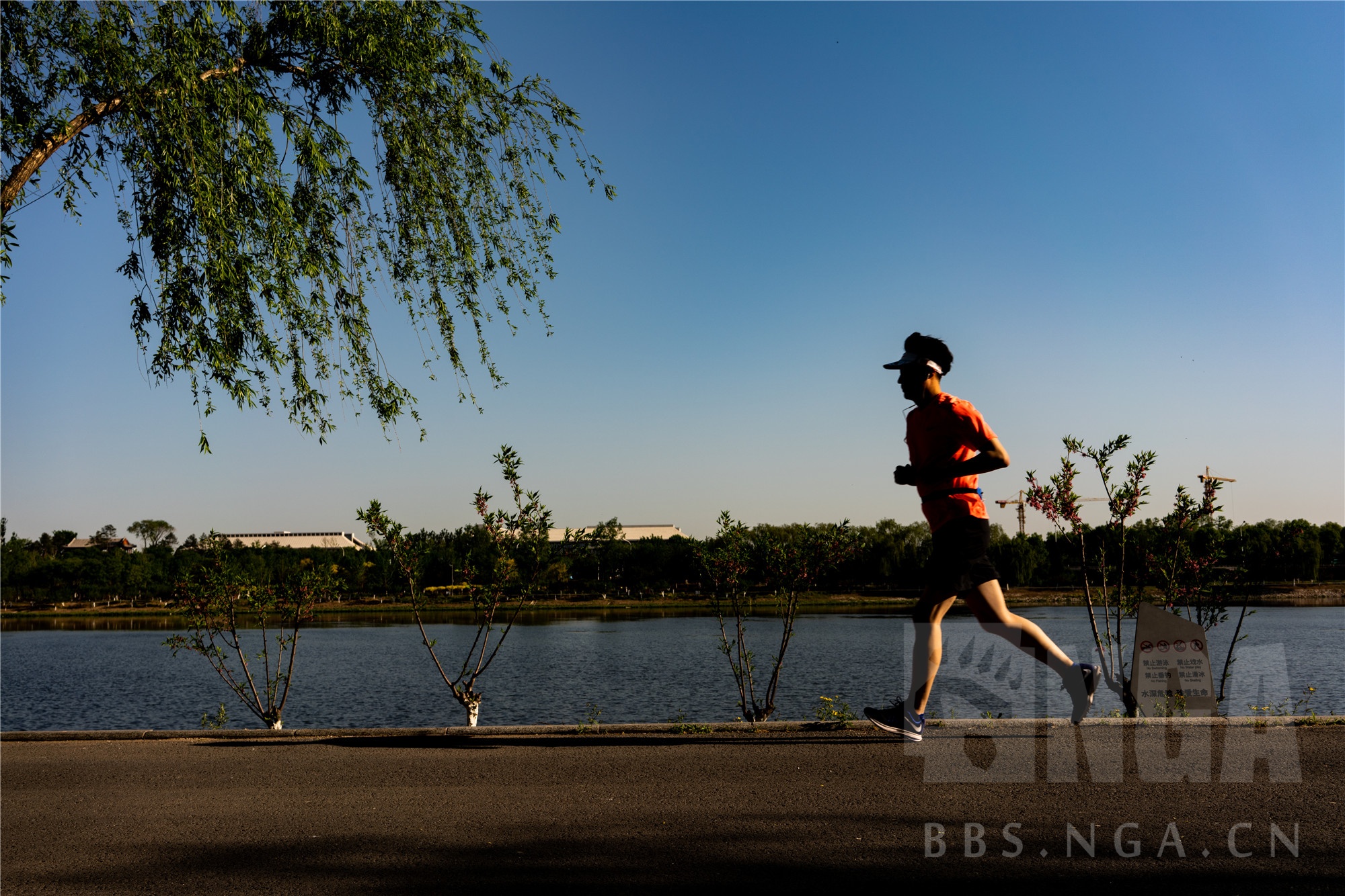 [踏青摄影] 劳动节依旧在劳动的老大爷早起到公园遛弯顺便打鸟拍花的