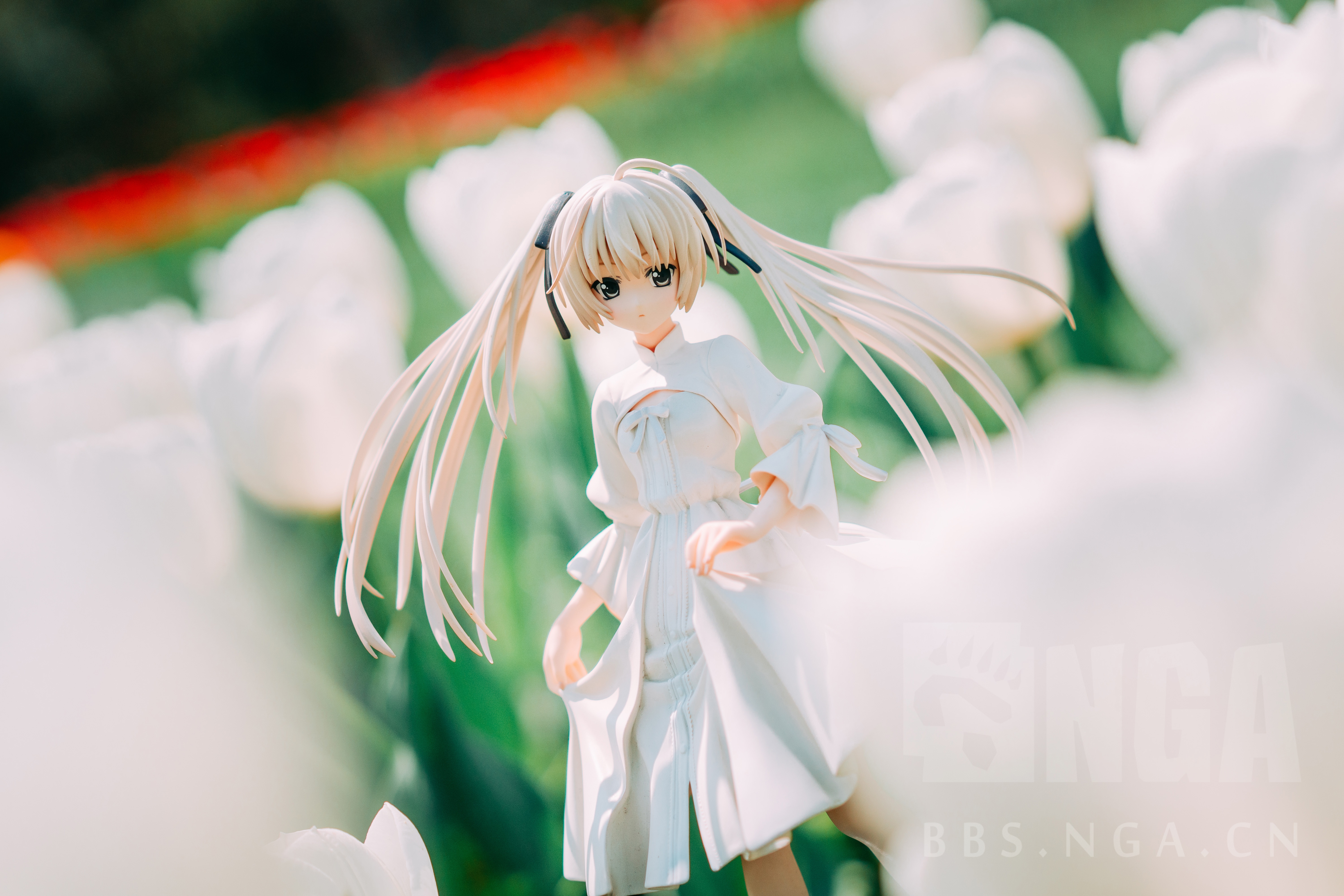 b站会员购xnga陪着你的介意多一个ta吗晒手办照片赢联合福利