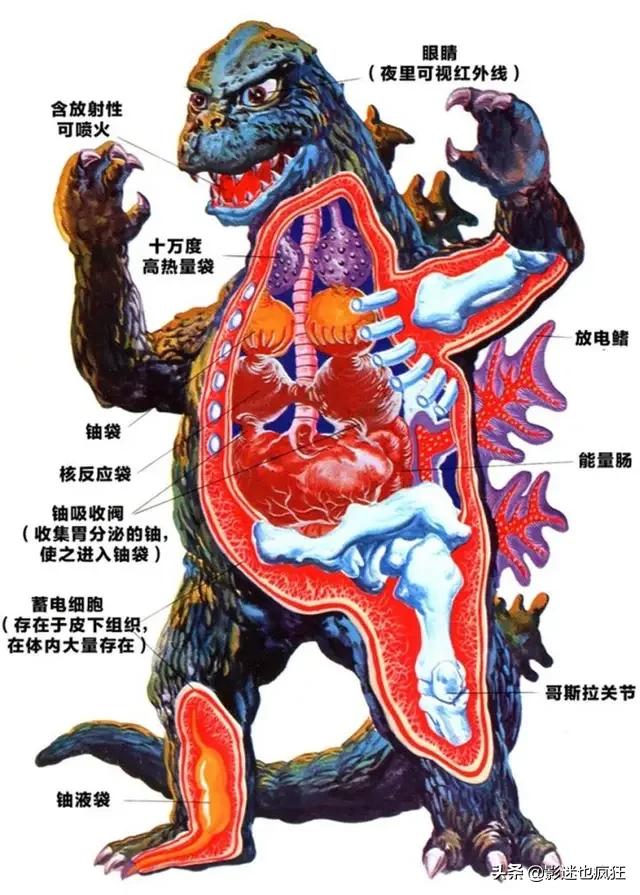 请问武僧现在武器有强制拳套吗