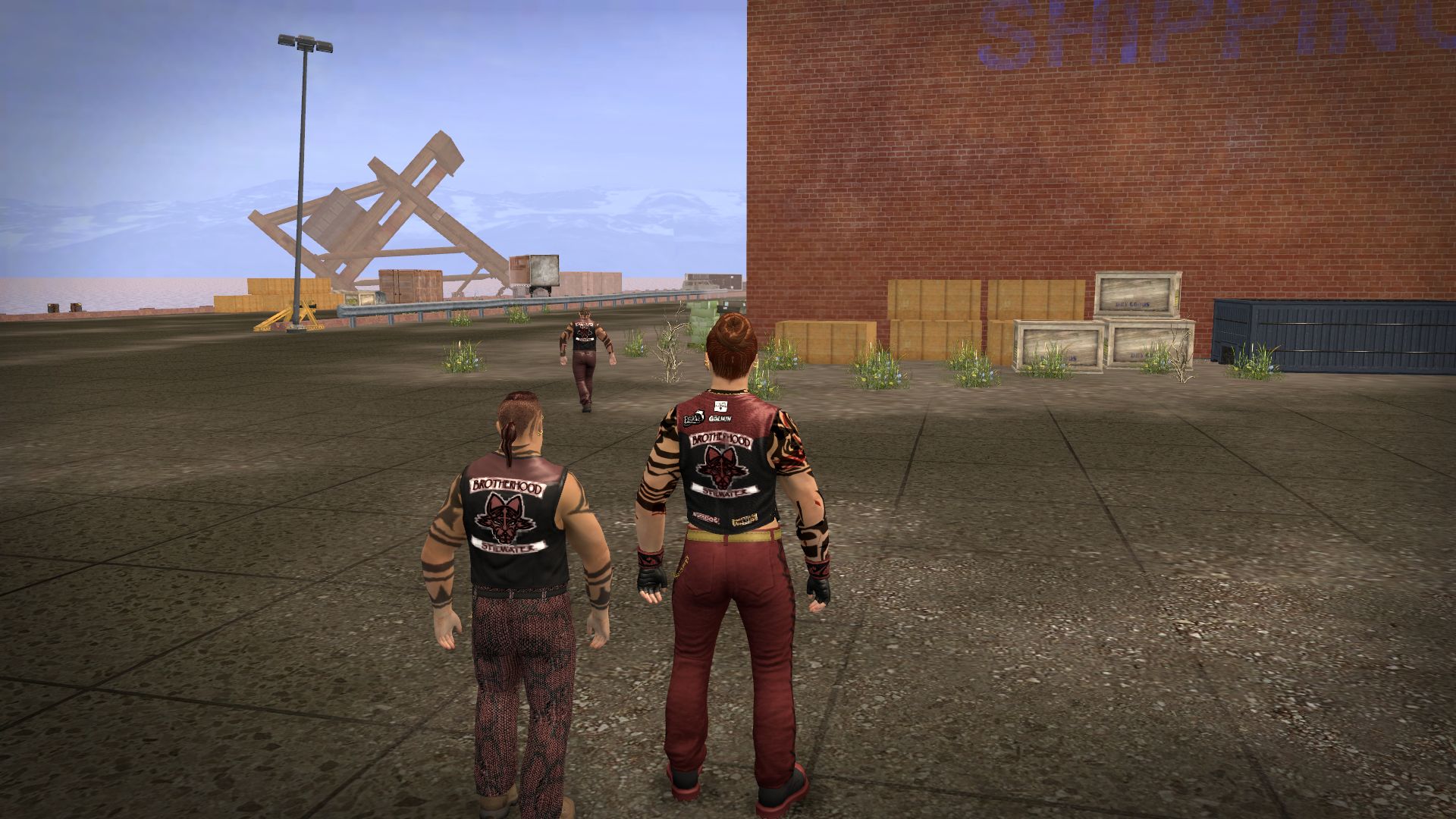 saintsrow2人物卡图温加马洛