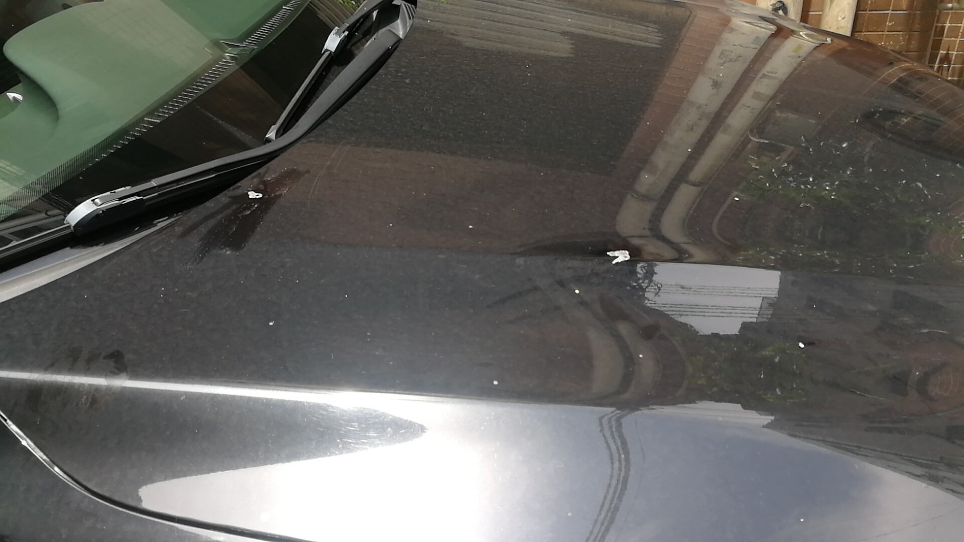 求助车上被粘了胶