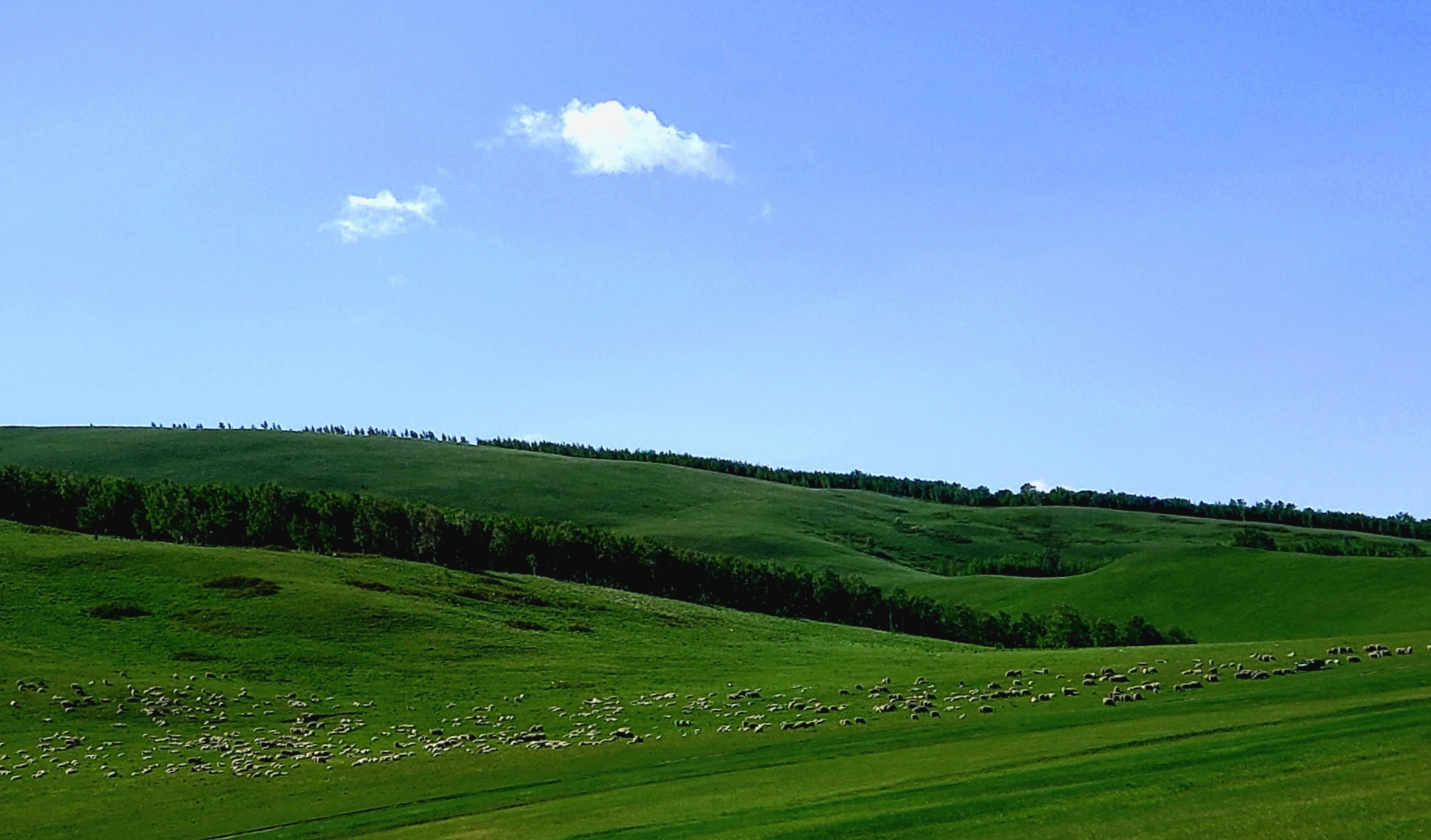 发几张最近拍的三星s9拍的图吧感觉也挺不错的