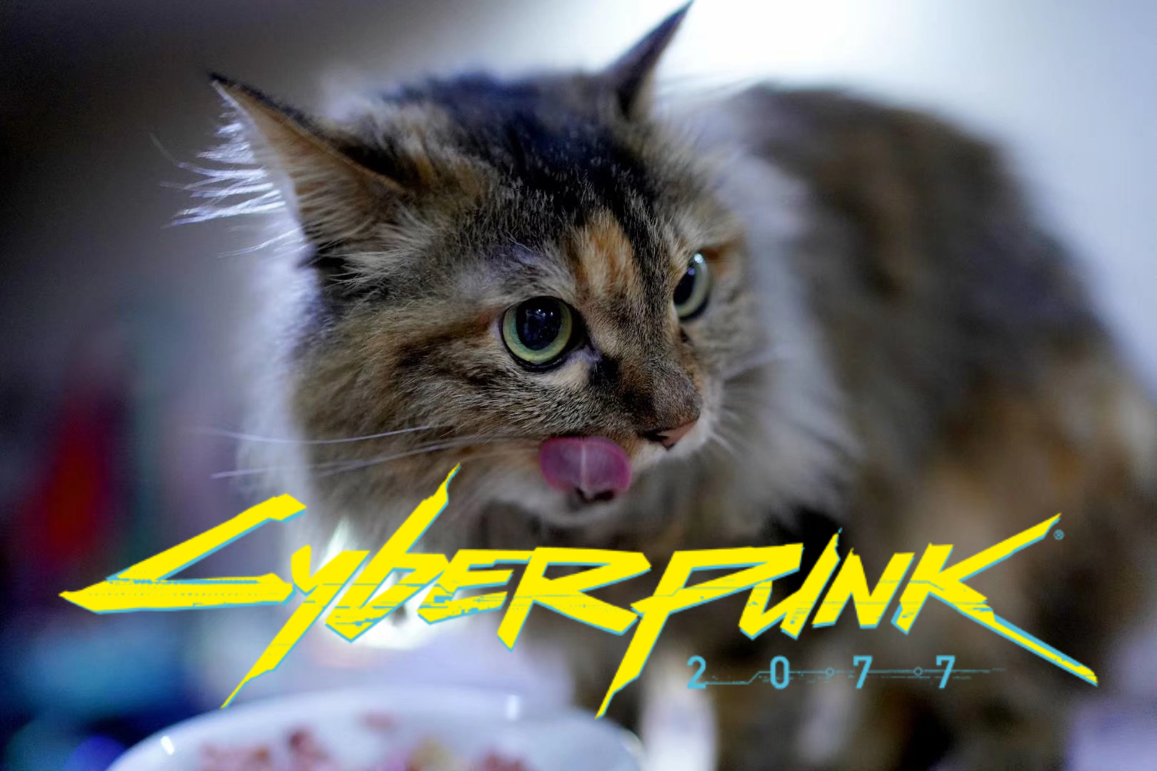 yet another 赛博朋克2077沙雕图生成器