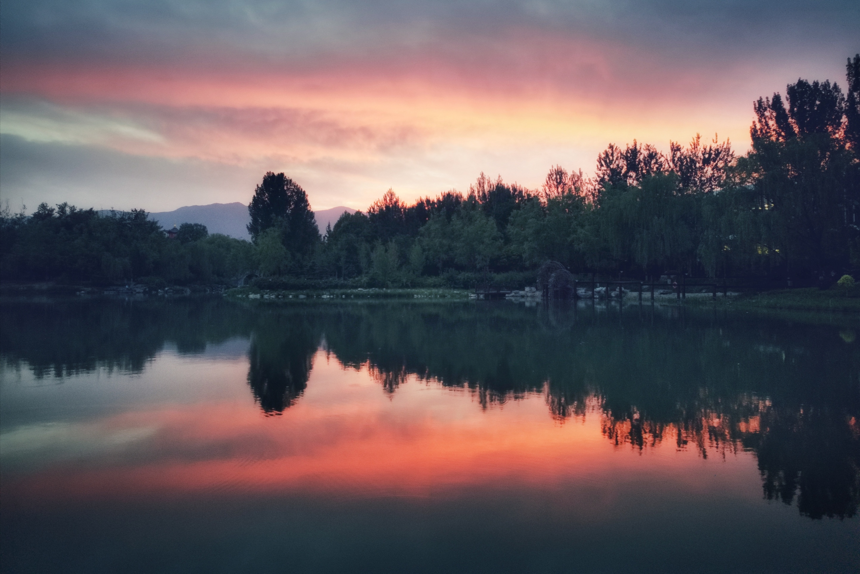 今天去店里看了nova5pro女仆长感觉终于有点线下机的感觉了