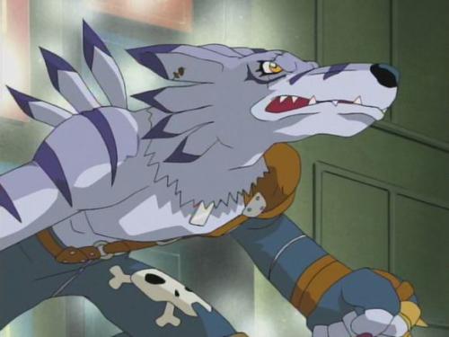 沙雕氵以后可以来个兽人加鲁鲁兽这种类型的嘛