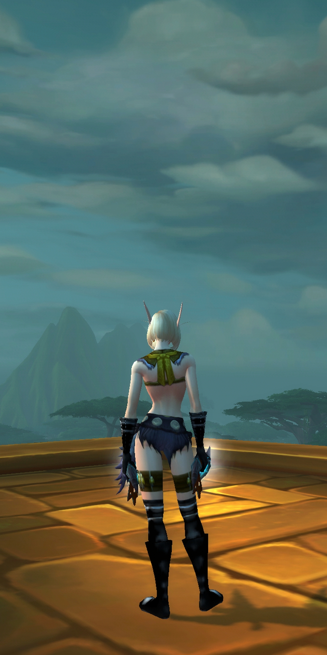 发一套俗气的幻化血精灵女皮甲