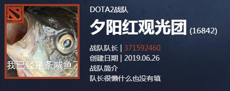 战地快报中国区海选欢乐队伍一览