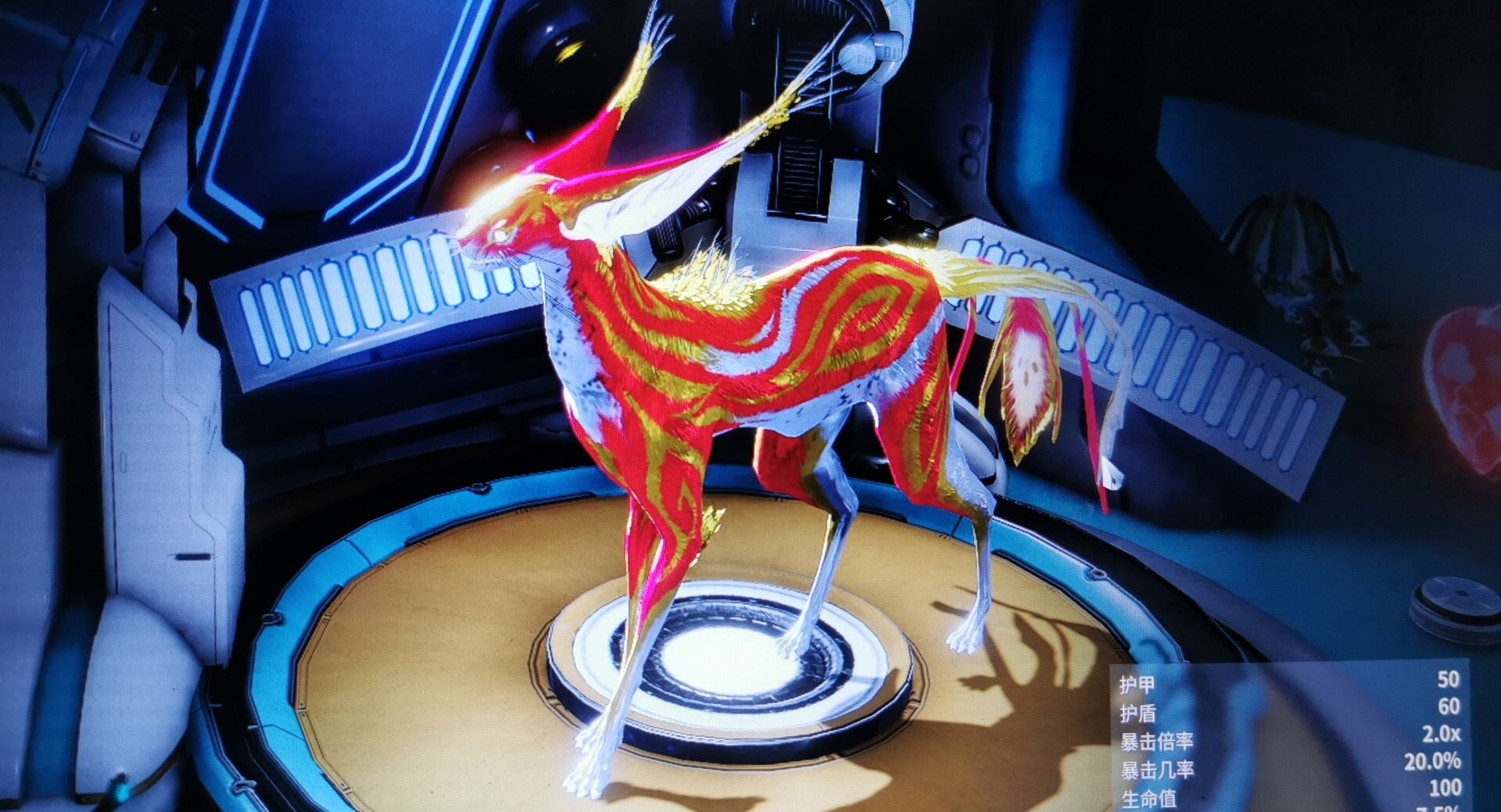 猫狗切片长毛长耳金能凤尾猫猫想换一只莲花突击胖狗狗