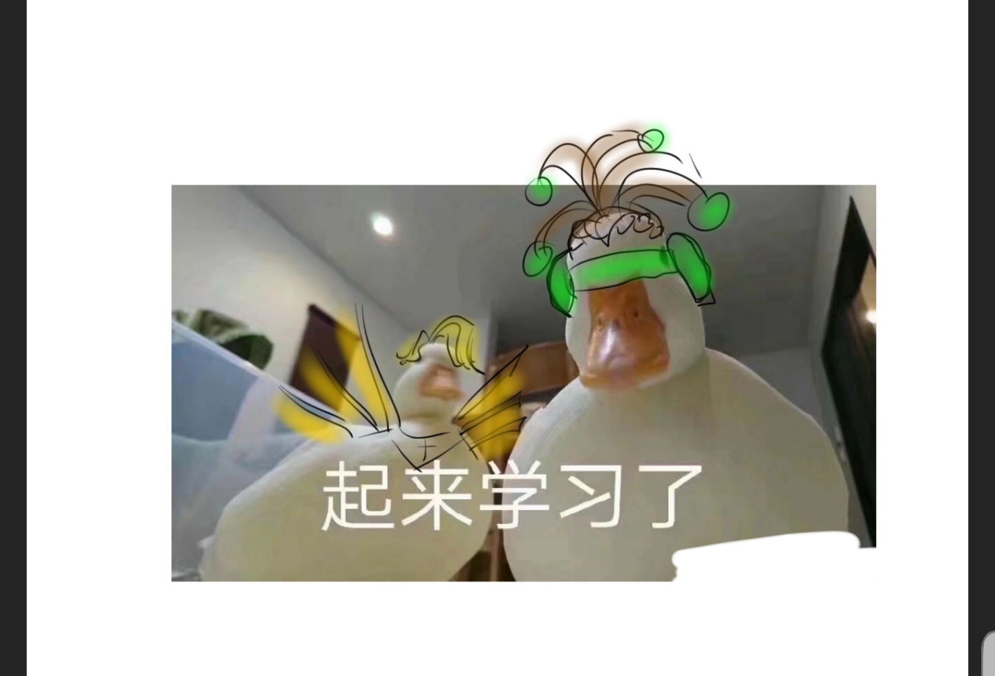 自己涂的ow表情包!