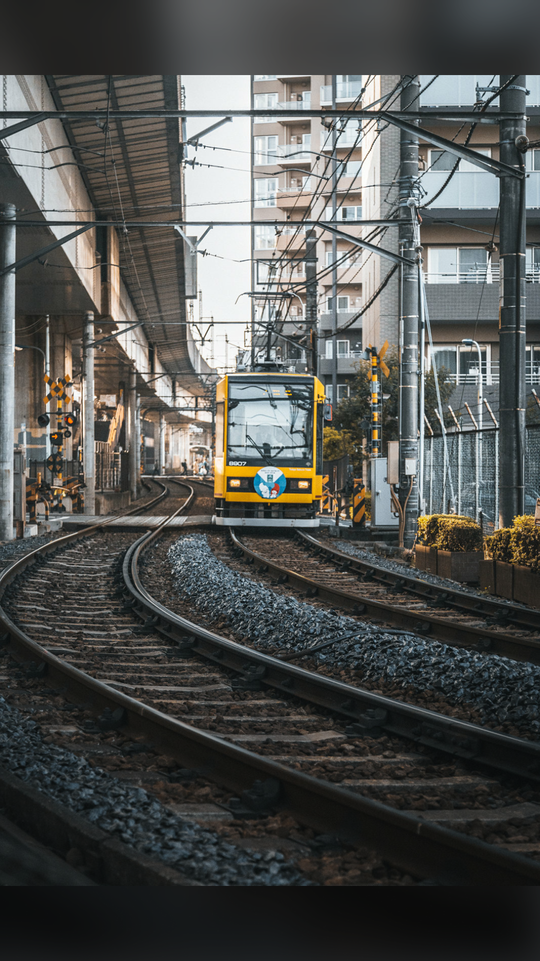 [自我感觉良好]京都的电车