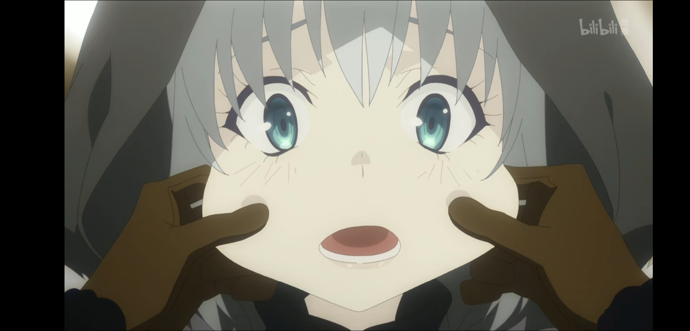 动画里面的小灰越可爱越对fgo里面的迷之卡面感到无语 nga玩家社区