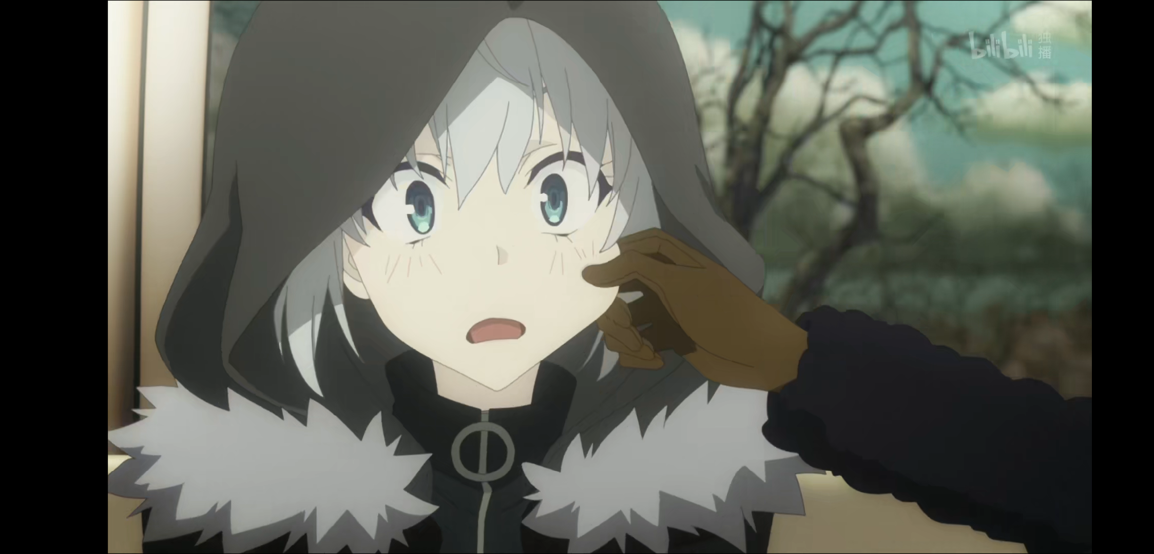 动画里面的小灰越可爱越对fgo里面的迷之卡面感到无语 nga玩家社区