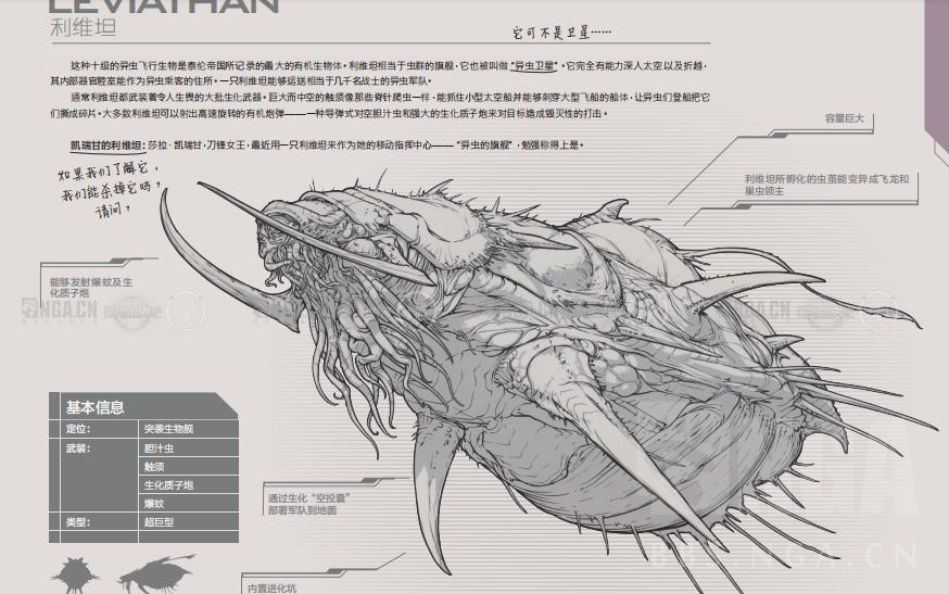 看啊一只落单的刺蛇他的蛋白质是小狗的6倍