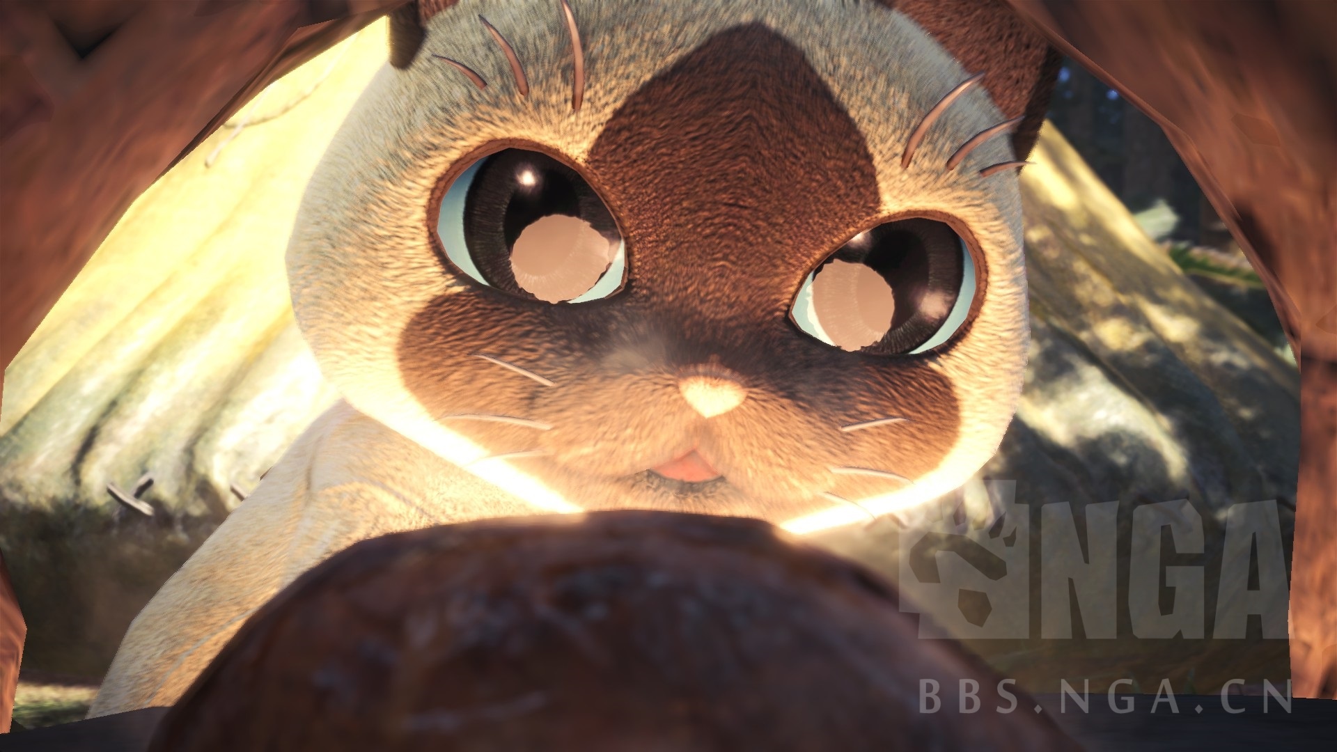 刚在营地吃饭,差点被aibo吓死.