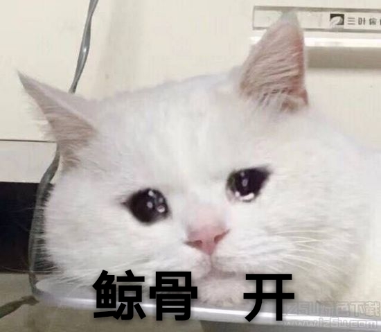 征集一下鲸骨开的表情包