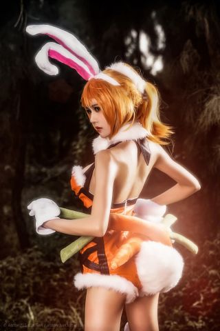 花木兰兔女郎求图