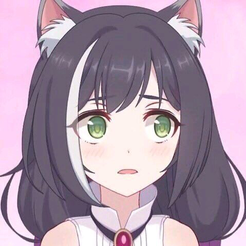 [讨论]为何臭鼬头的表情会这么火,是因为什么模因的缘故吗?