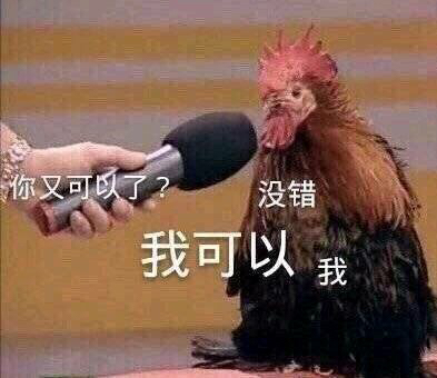 拽哥沙雕文案,拽哥沙雕文案短句