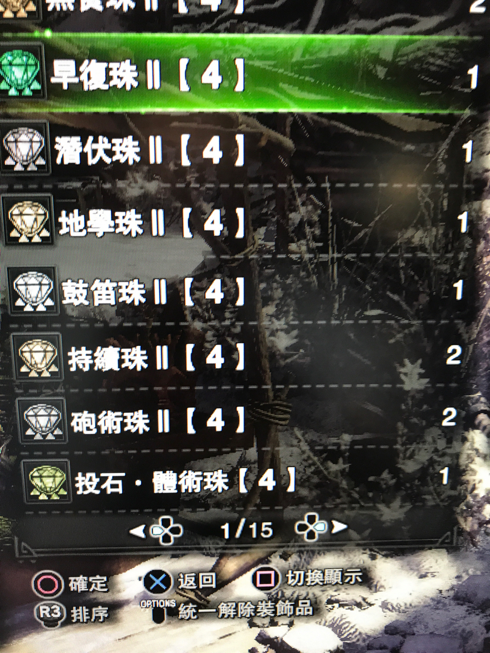 出了两颗炮术珠了现在什么铳枪好点啊