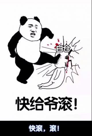 崩三写剧本的是白仓粉丝吧