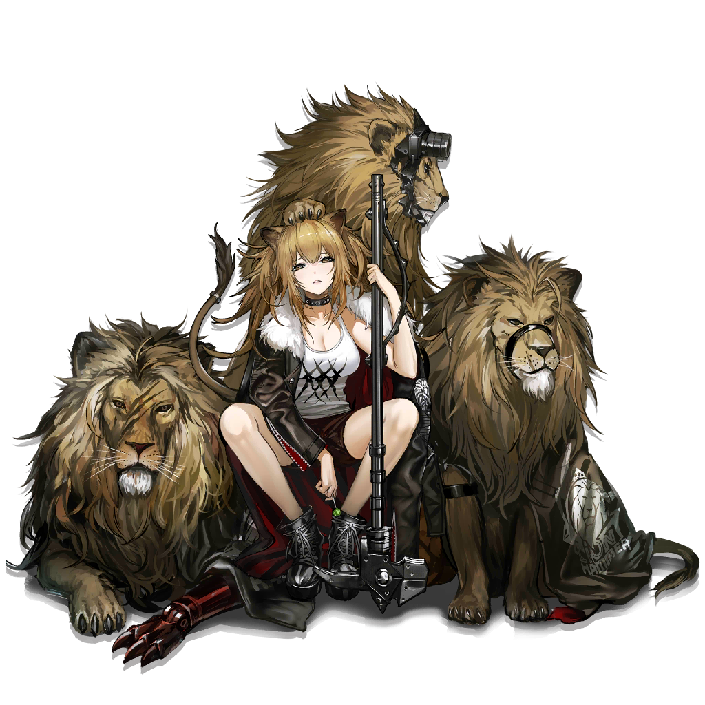 填坑基本架构施工完毕留待后续补充盘点向关于博士与罗