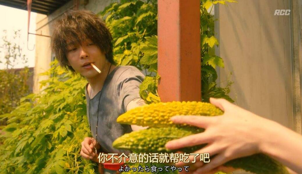 看了日剧凪的新生活,我也想在阳台种苦瓜了