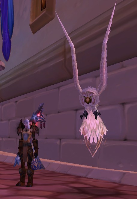 [宠物相关][猎人相关]猎人进:智者奥尔姆唯一