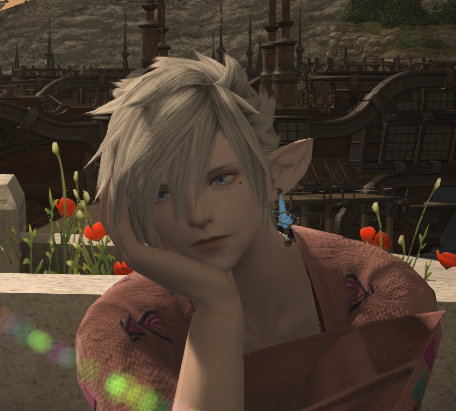 我老婆阿莉塞和阿尔菲诺长大后的样子