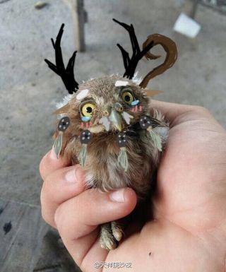 来点咕咕表情包各位大佬