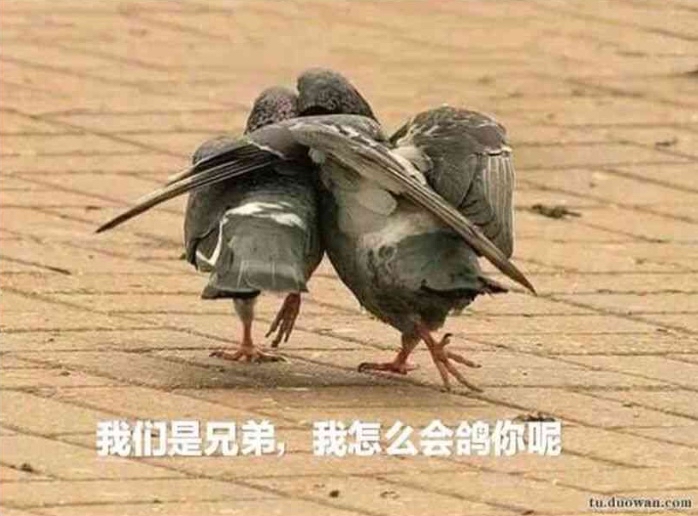 鸟区伊甸零食招两个近战(招到了