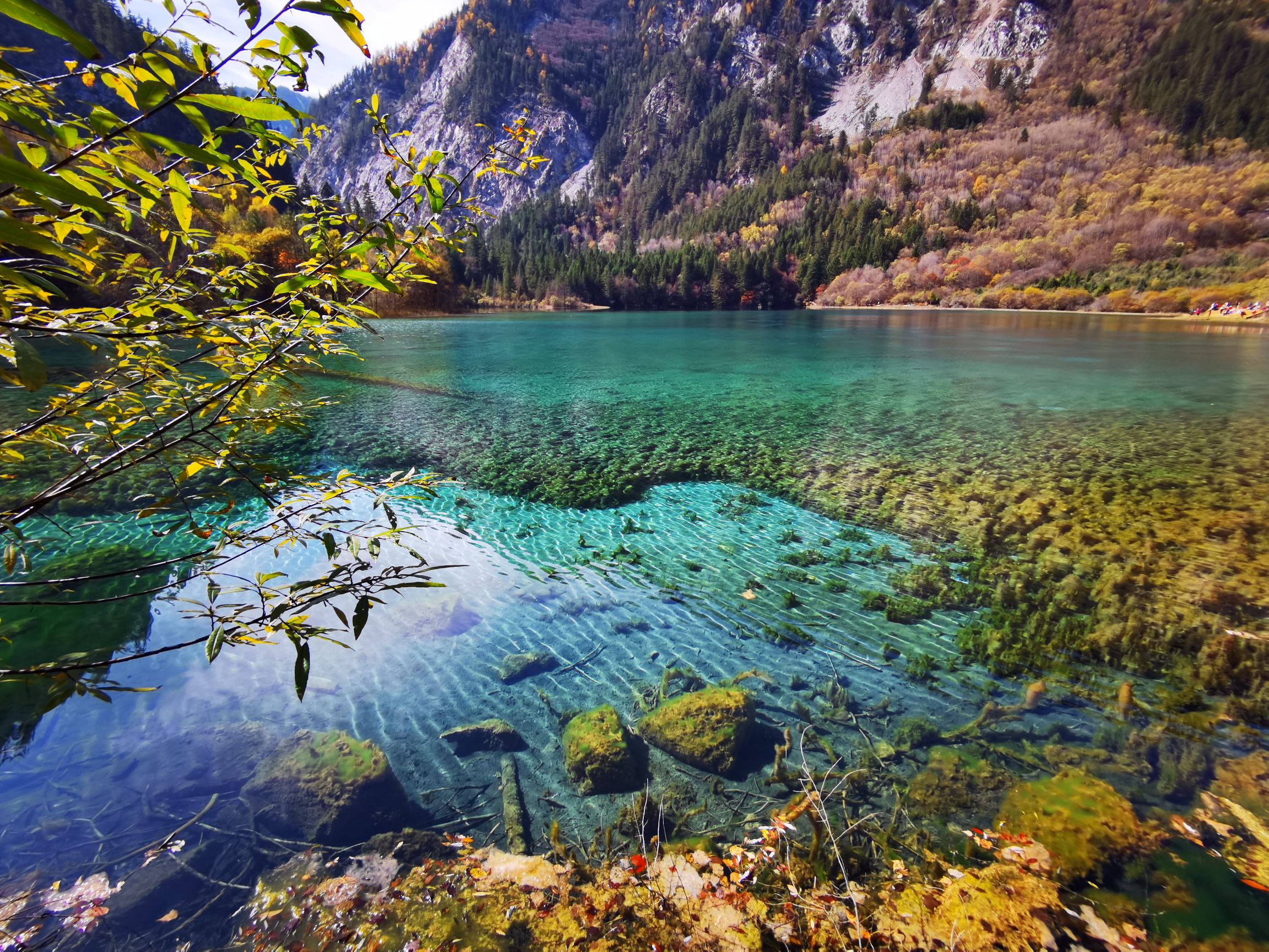 九寨镜海这种有风是不是很难拍倒影了?