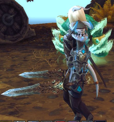 粗糙的毛料,美中不足的就是披风中间的宝石不是蓝色   武器部分: 堕落