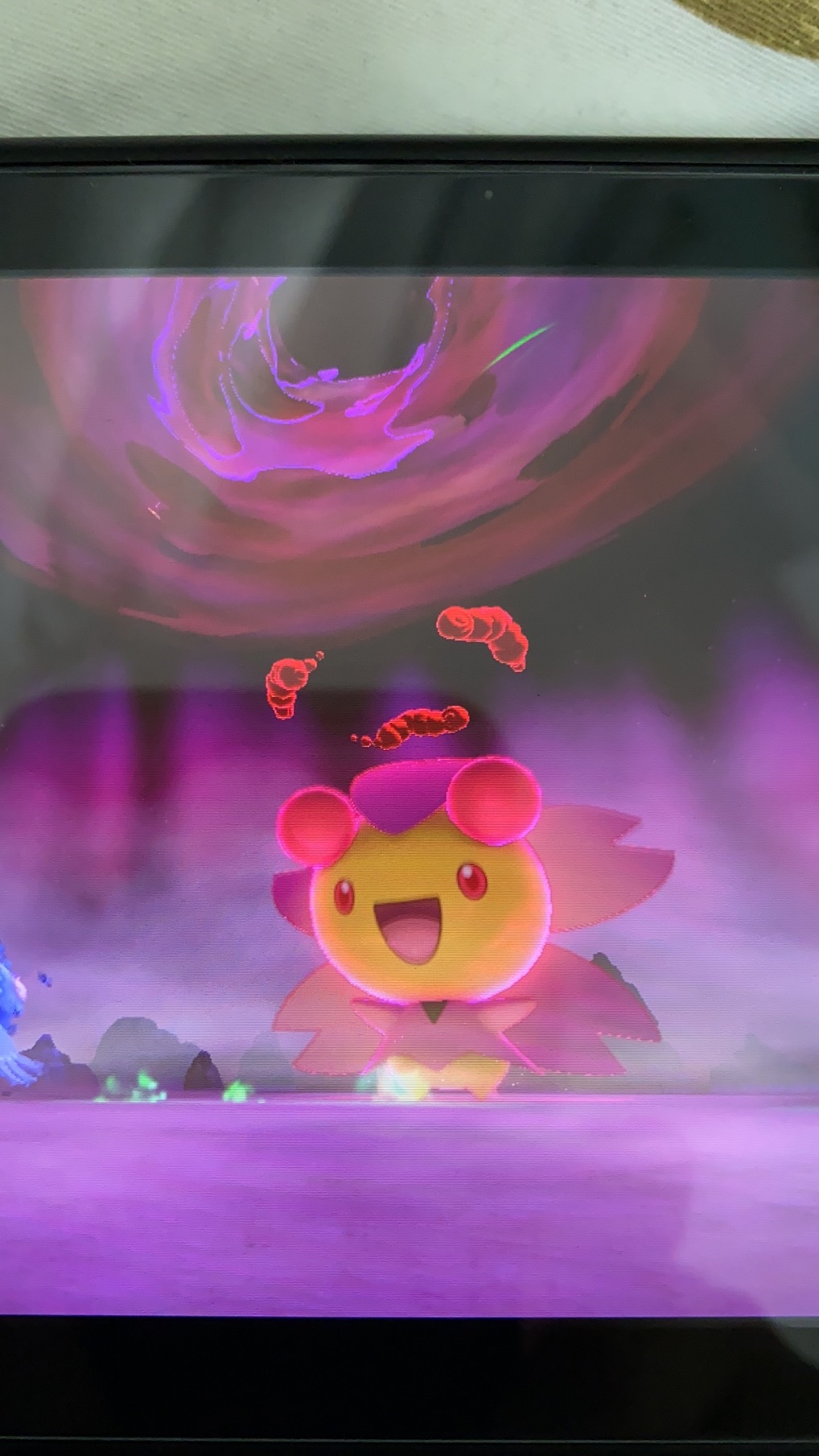 樱花儿也太可爱了叭