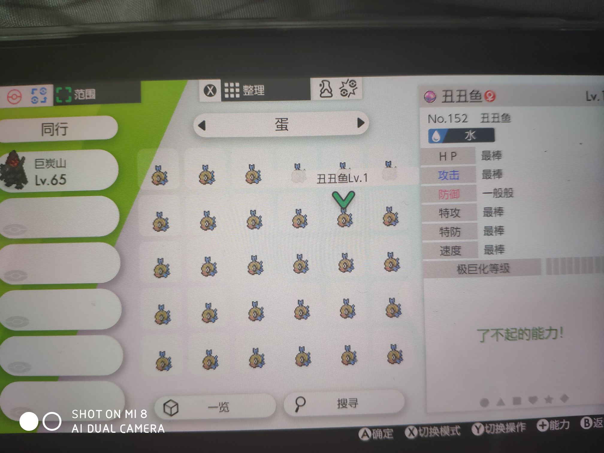 6v丑丑鱼5v多龙丑丑鱼交换派送结束