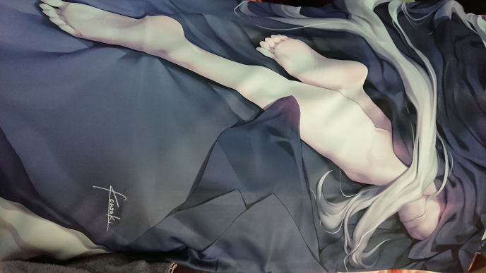 艺术审美e理性蒸发a光崎的黑贞抱枕终于到货了