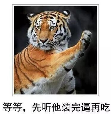 [杂谈]斯坦索姆,祖尔法拉克真的是两个制作非常失败的副本.