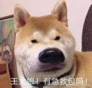 狂吹这个头像框完美契合我的头像