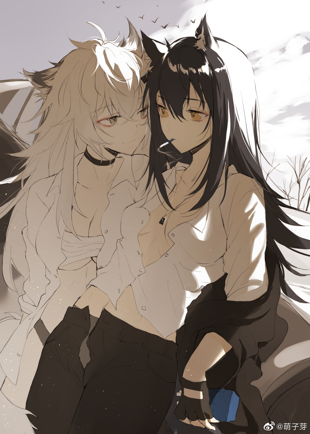 双狼氵抛砖引玉微博看到的cp图