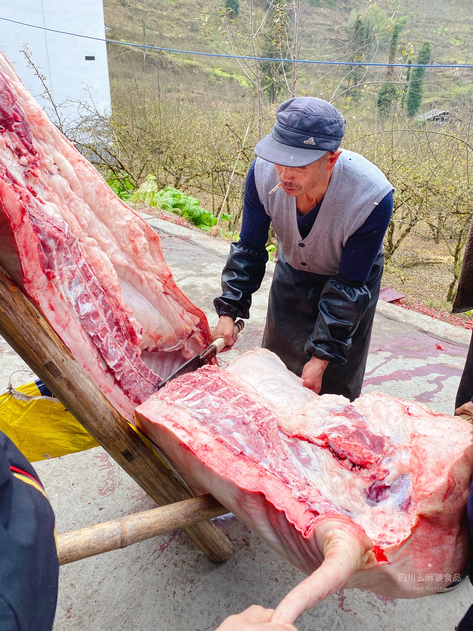 杀猪过年猪猪那么可爱为什么要吃他血腥未满18岁勿进