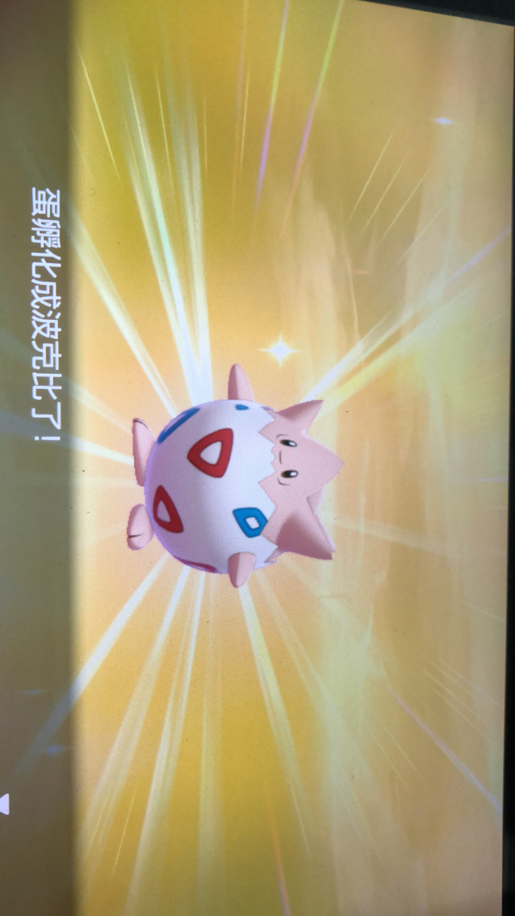 已换完交换孵余蛋的时候又闪了个波克比已回档成蛋换个其他对战闪是蛋