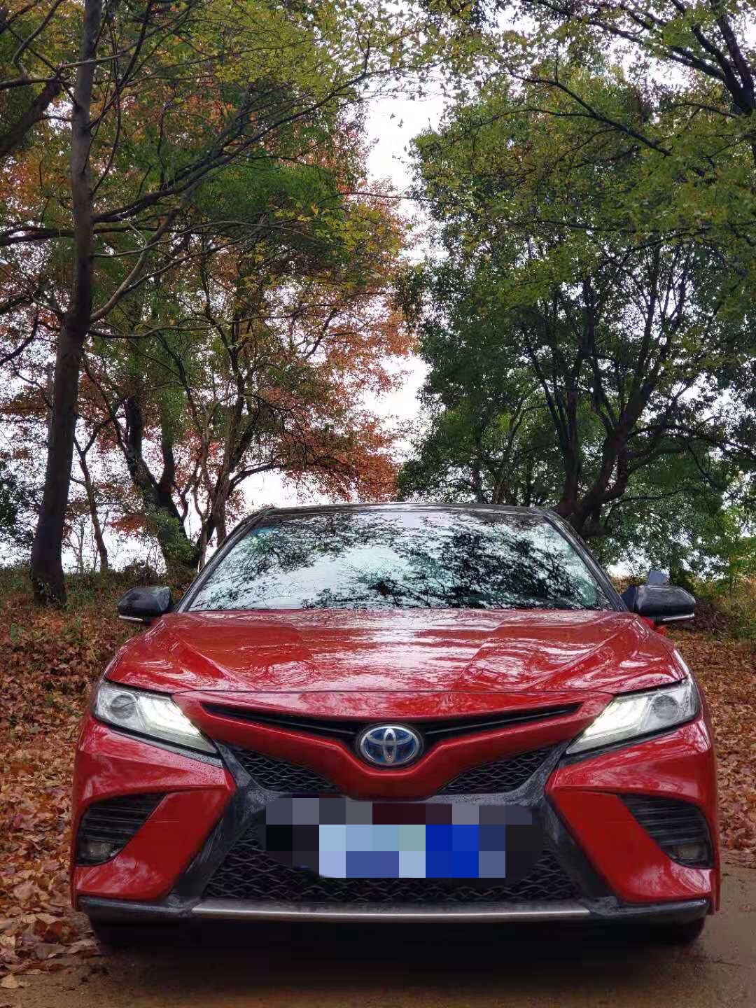 凯美瑞红黑运动版提车防一血