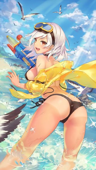 [资讯搬运]日服泳装二期立绘 nga玩家社区