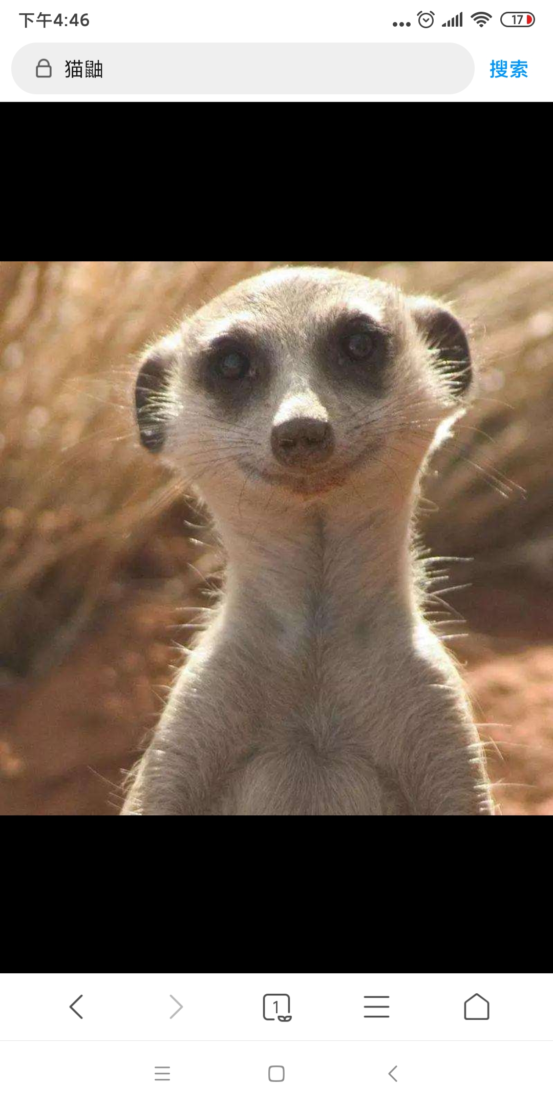 fpx战队邮局港剧doinb这张照片还是挺帅的